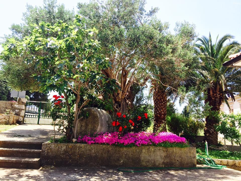 Marko Apartment Lun (Pag)